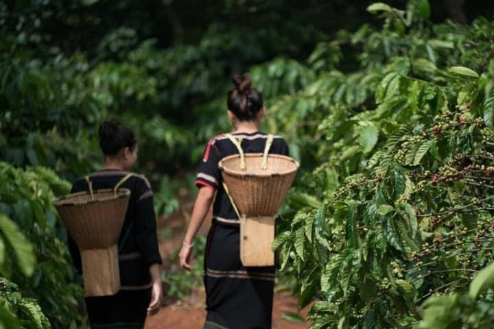 Dugiang Homestay バンメトート エクステリア 写真